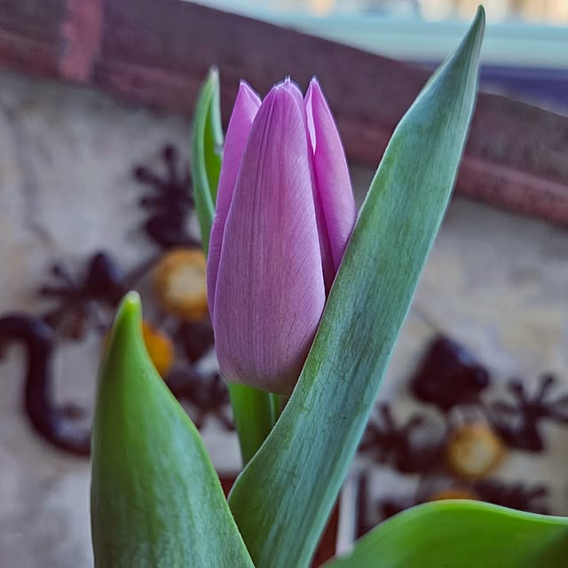 mocomocoさんの実例写真