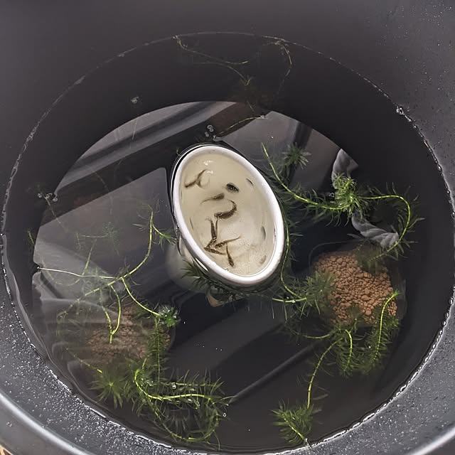 mi-saさんの部屋