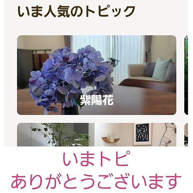 75さんの実例写真