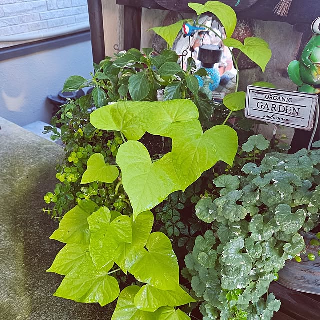 mocomocoさんの部屋
