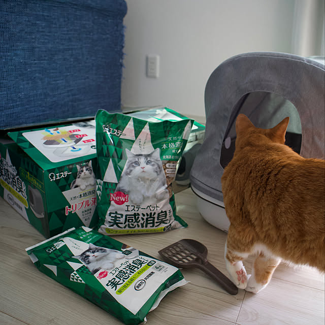 myuuさんの実例写真