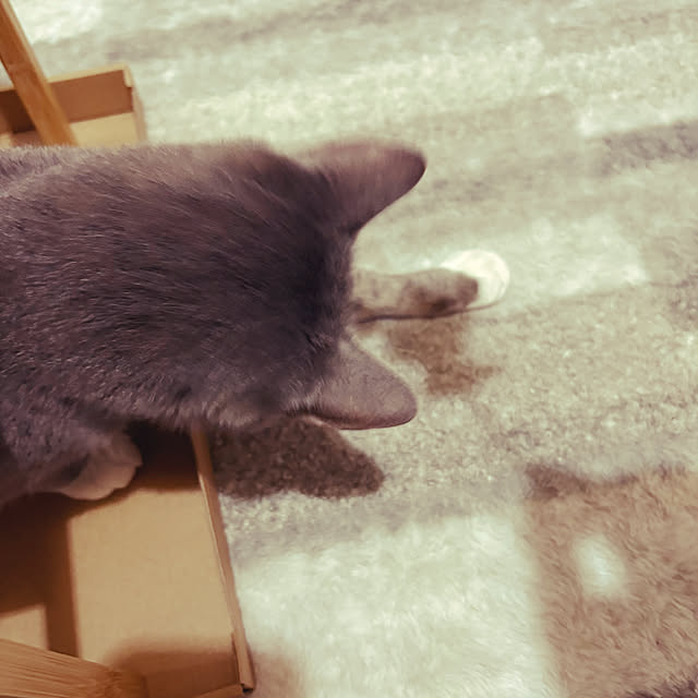 rikaさんの部屋