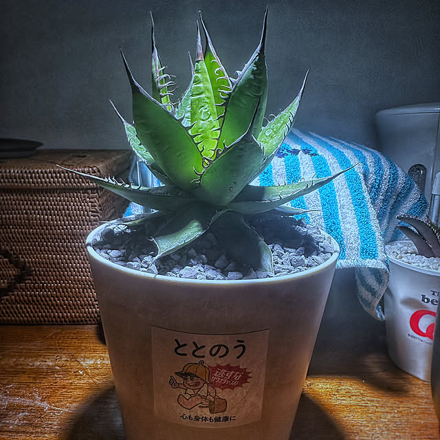 floydさんの実例写真