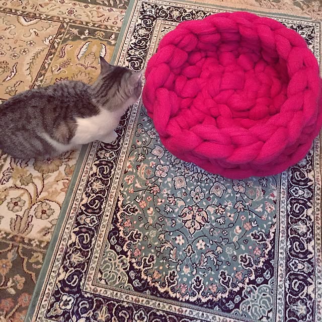 emmyyさんの実例写真