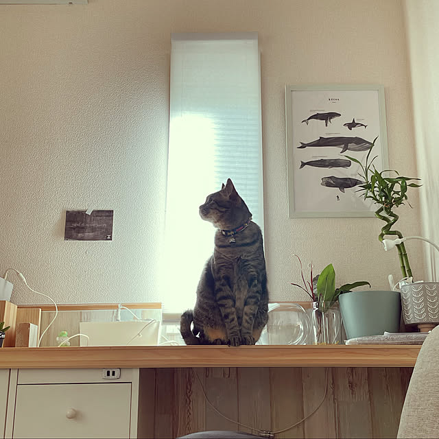 t-famさんの実例写真