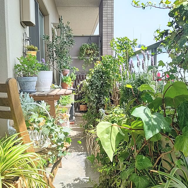 YuriYuriさんの部屋