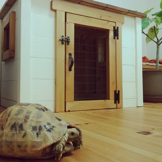 UGさんの実例写真