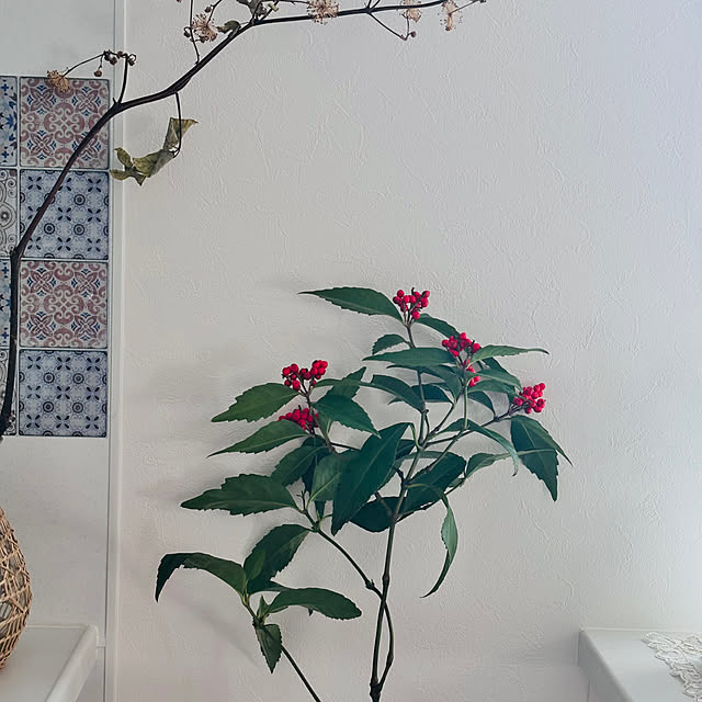 miyu39さんの実例写真