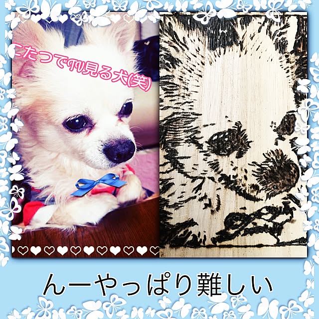 miemekkoさんの実例写真