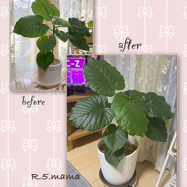 R.5.mamaさんの実例写真