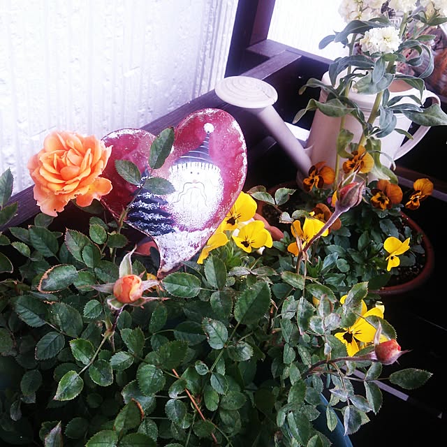 poemwalkさんの実例写真