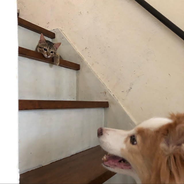 RUNRUNさんの実例写真