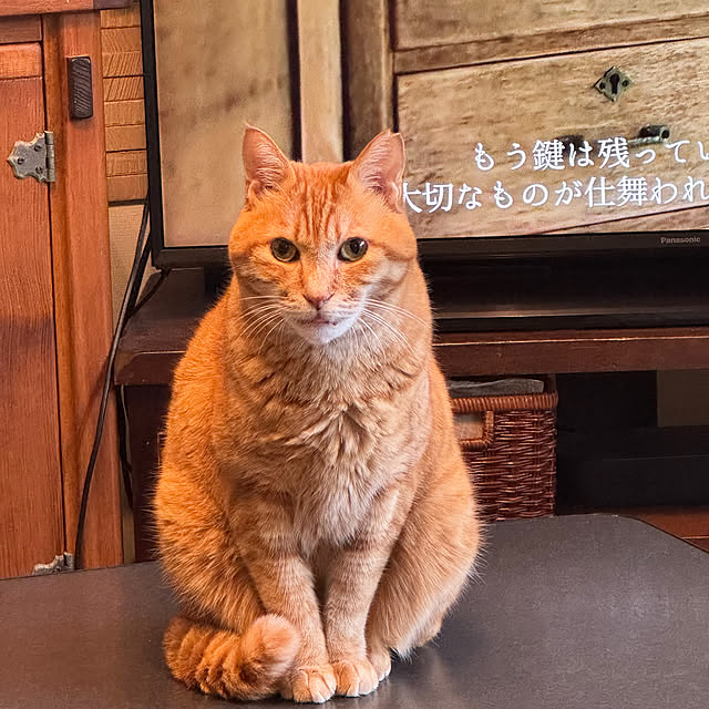 okyosan101さんの部屋