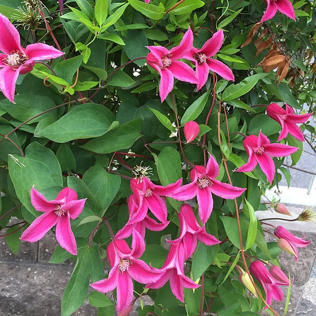 mom39さんの実例写真