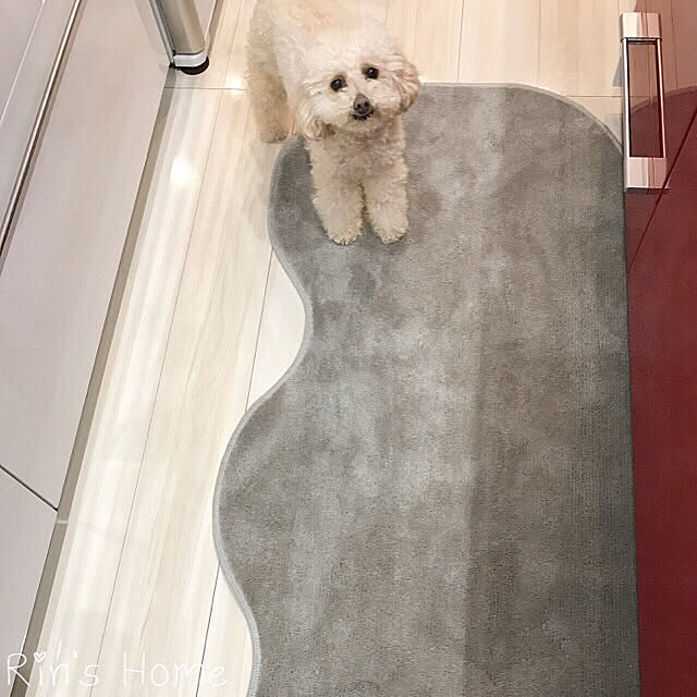 Rinさんの実例写真