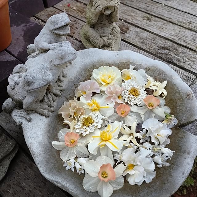 figaroさんの部屋