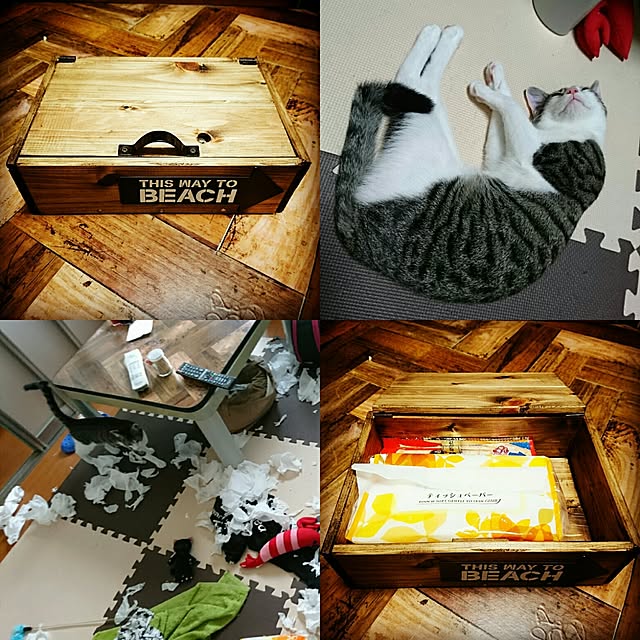 kiraさんの実例写真