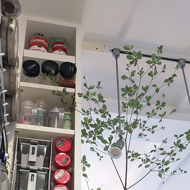 jinさんの部屋