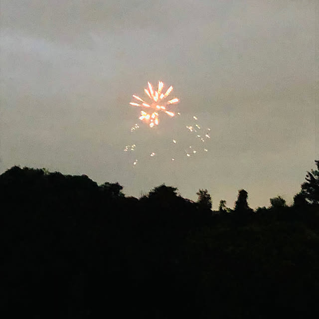 hanachanさんの部屋