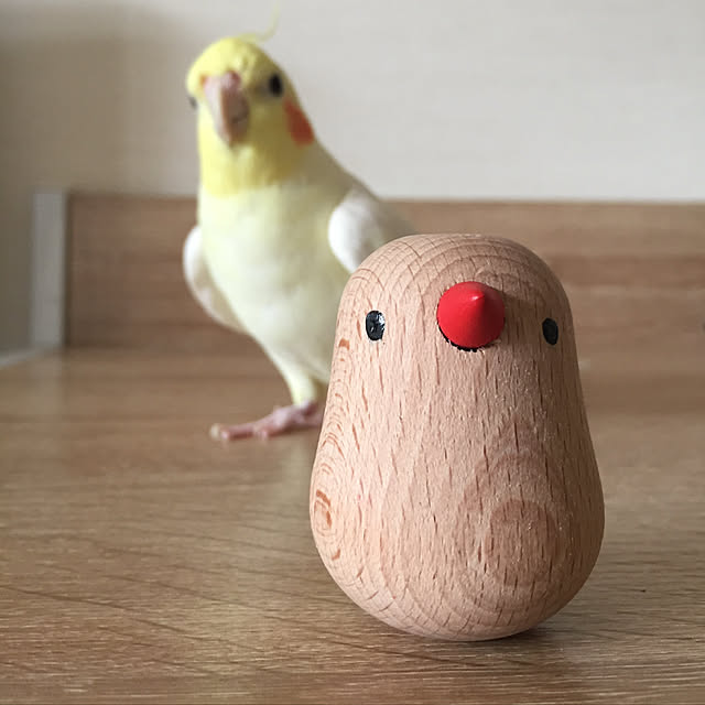 toratanさんの実例写真