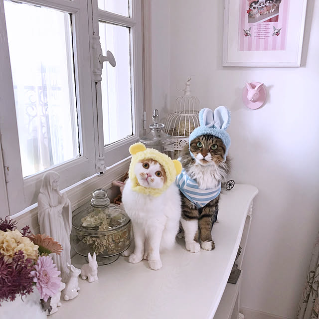 yuchiさんの実例写真