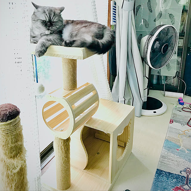 Marinさんの実例写真