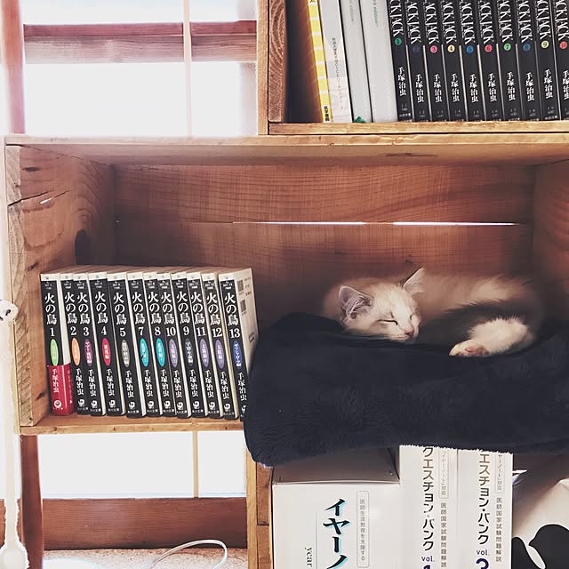 akiraiguchi32さんの実例写真