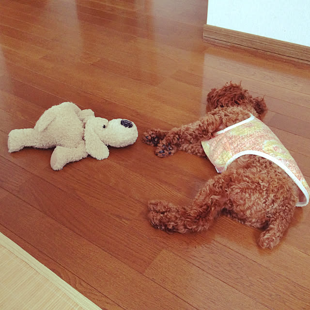 reiさんの実例写真