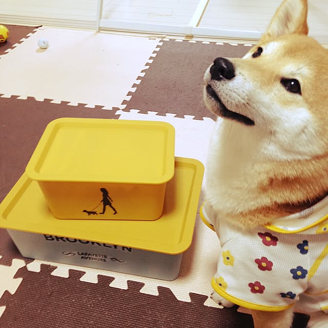 mizutamaさんの実例写真