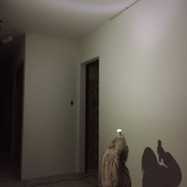 aaaa0707さんの実例写真