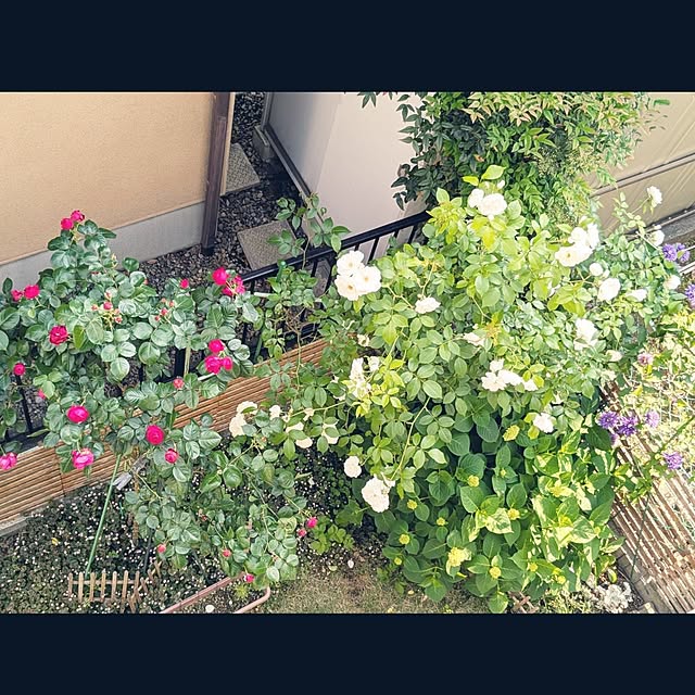 mofukoさんの実例写真