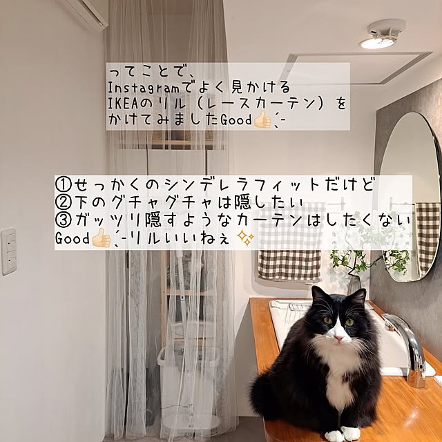kankanmom_horn_5catsさんの実例写真