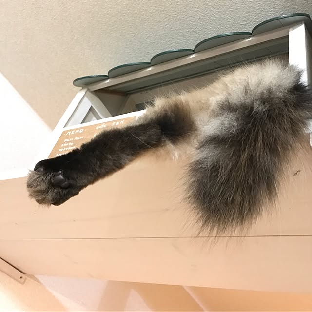 kazaneさんの実例写真