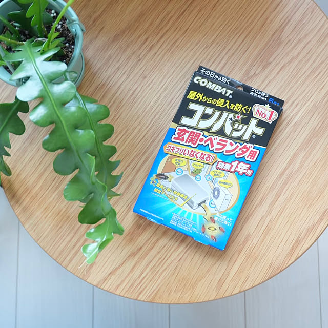 mikeさんの実例写真