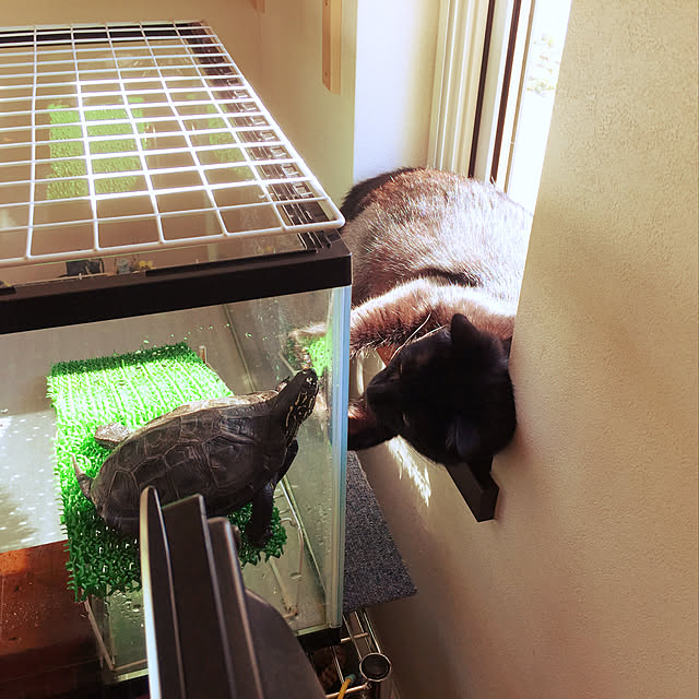 nanaさんの実例写真