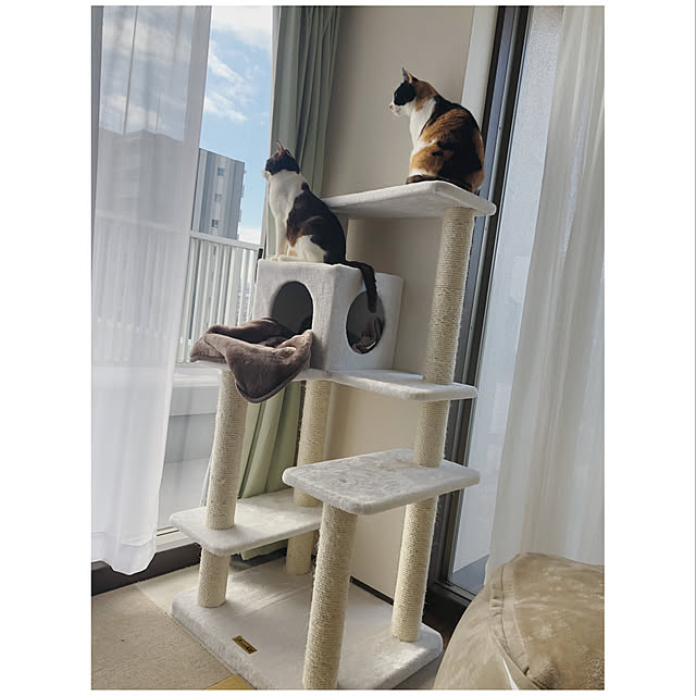 BisyuuuMさんの実例写真