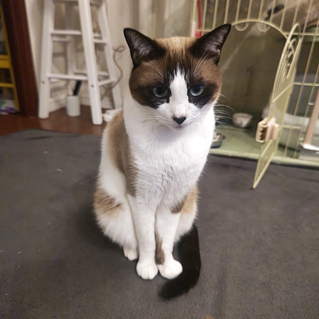 junandchokoさんの実例写真