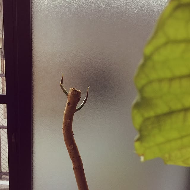 yukaさんの実例写真