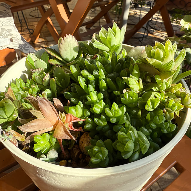 Aqettyさんの部屋