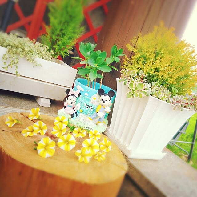 Chomeakiさんの実例写真