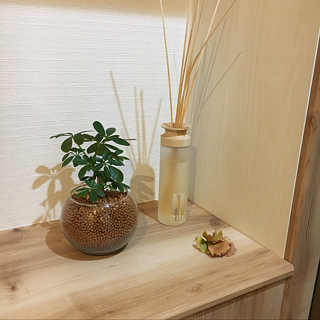 shiho-home.さんの実例写真