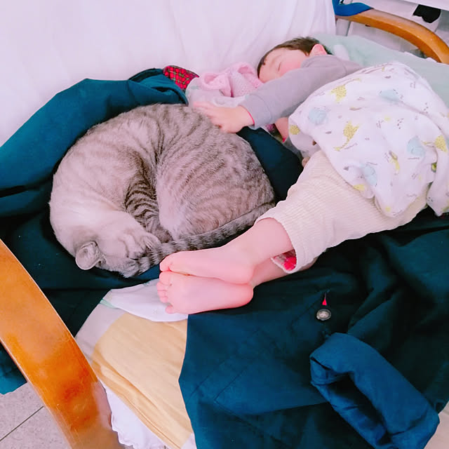 Manaさんの実例写真