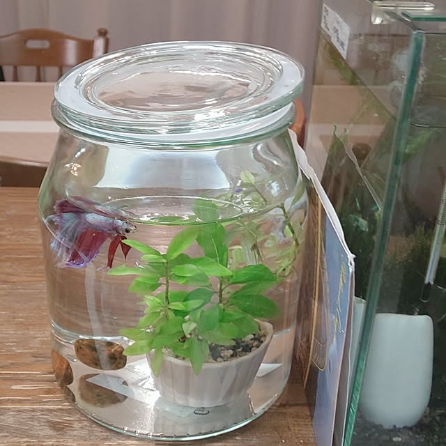 Yoshi55goさんの実例写真