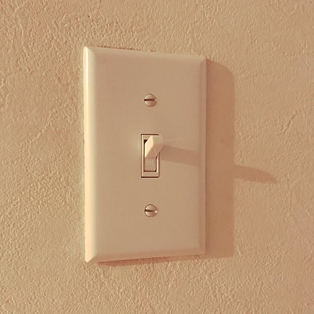 assan713さんの実例写真