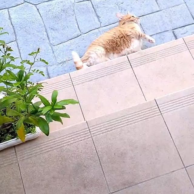 minnieさんの実例写真