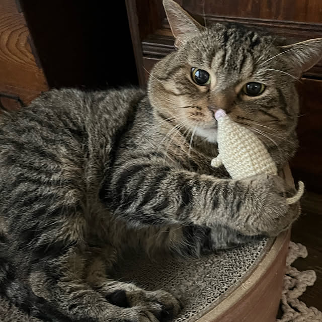 kuuさんの部屋