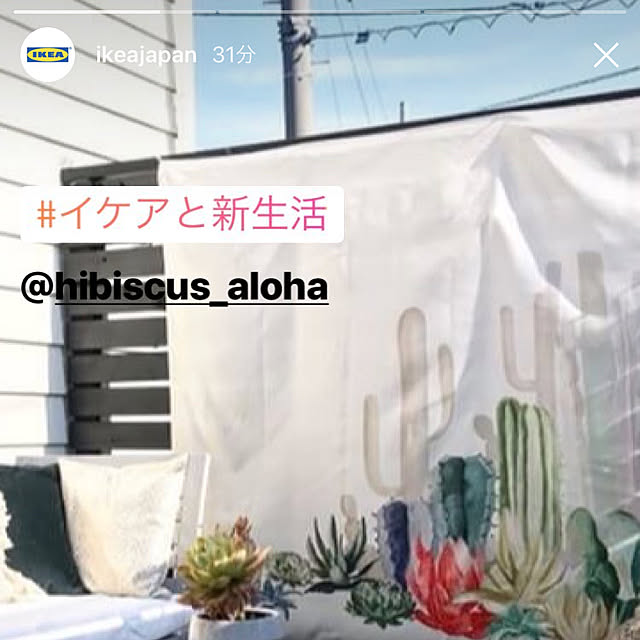 alohaさんの実例写真