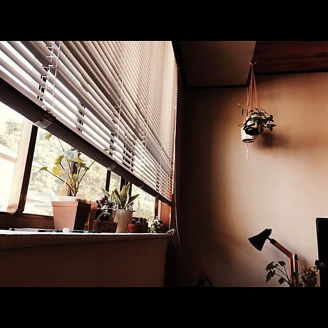 miiksさんの実例写真