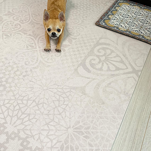 totaryuさんの実例写真