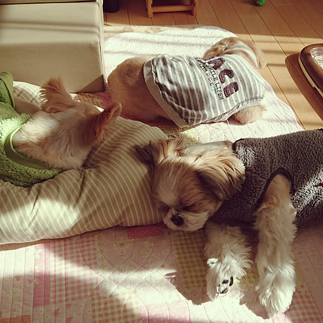 ronさんの実例写真